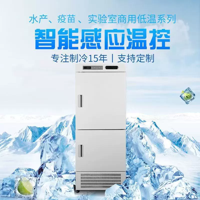 商用大容积双温冰箱冷藏冷冻两用实验室酒店低温保存冰箱冰柜
