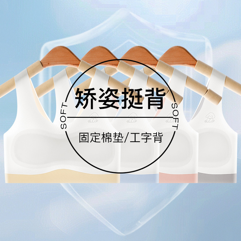 Seamless Girls' Intimates, Girls' Development Period Vests, Adolescent Junior and High School Students' Chest-Wrapped Teenage Girls' Bras