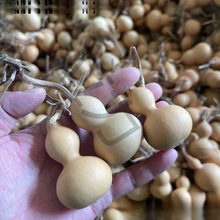 С���J��Ȼ���J������������[������S�ҵؔ�С����Ҿӿ���