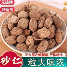 ��Ʒ�V�|Ұ��ɰ�����l500g��ɰ�ʴ�ɰ������ëɰ�ʟ����u����