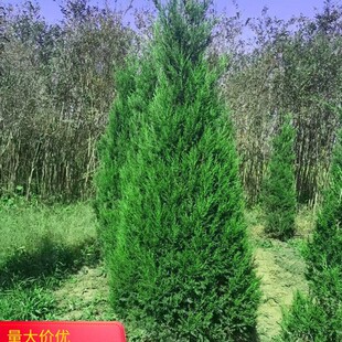 �������򡿰ؘ�������؂Ȱر���ɰؘ���������u�����ɰ�ľ����