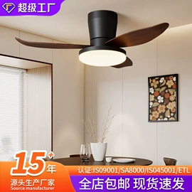 吸顶灯;吊灯;成套灯具