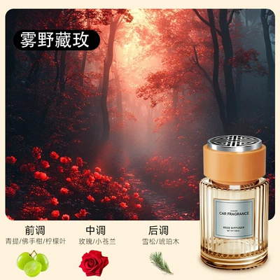 Car Perfume Aromatherapy Car Fragrance for Men, Car - kiri-no-rose