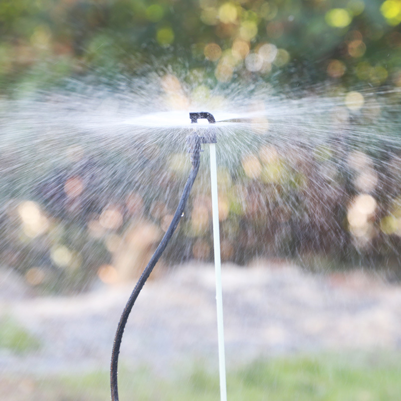 Jardín de la lluvia