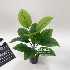 【新品】仿真植物12头万年青把束大叶子 植物墙装饰配材假花把束