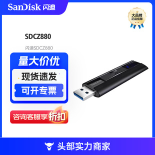 �m���W�ϣ�SanDisk��256GB USB3.2 �̑BU�P SDCZ880