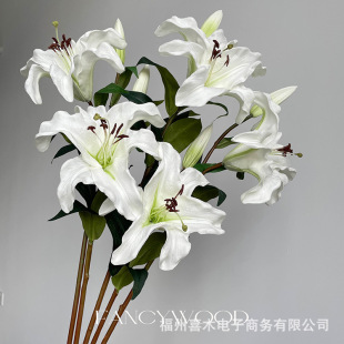 ��Ʒ�|PU�ٺϻ� ��ˮ�ٺ� �͏d������ ���յ��� ������ �Ӱ��g