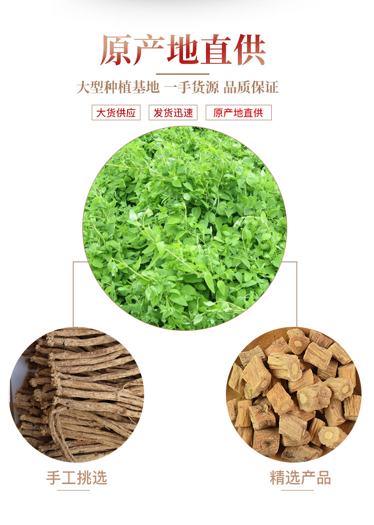 Dried Codonopsis Root Slices Dang Shen 500g Bulk Supply for Soups and Herbal Decoctions quality and texture