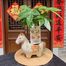 2026新款马上有钱花盆招财寓意红陶花盆室内办公创意陶瓷小福马