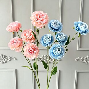 5�^��¶��c���滨�������û�Y�üٻ����Ż�diu����ܛ�b��ˇ�廨