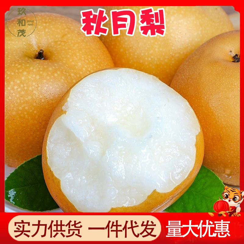 Подлинная груша Qiuyue Pear 4.5kg в целой коробке, фруктовая груша с сахаром, 10 штук, оптовая продажа, бесплатная доставка, 5 штук сырой грушевидной формы из Шаньдунской провинции Laiyang, фрукты специального сорта