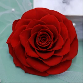 永生花;鲜花花艺制品;工艺品加工