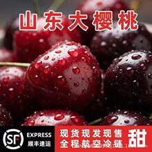 【顺丰发】山东美早新鲜大樱桃车厘子孕妇水果现摘现发红樱桃现货