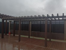 �����@�ֹ��@���^�������e���@ͥԺ������ľ�������Ѽ�