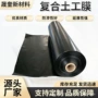 护坡防漏防渗养殖土工膜
