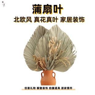 �ѿ��ɻ�ԭɫ�����~�����~�ؙ��~�Ҿ��b�c�b���������