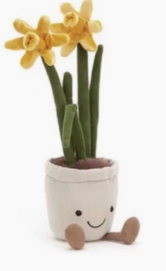 Daffodil