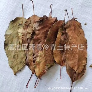 ɽ��~,���l��ș���Nޱ��ֲ��ɽ��t���~