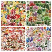 200��ɭϵֲ��PET�N�����M�͹�Ģ������ˮ����ľ͸����ˮ�b��N��