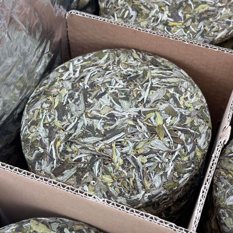 2025 Fuding Alpine Sun-Dried White Tea with Camellia Fragrance New Tea Cake Tea Wholesale First Grade White Peony