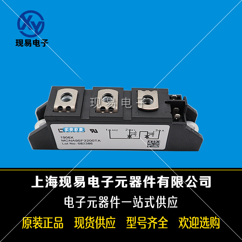 MCNA95P2200TA MCMA110P1200TA全新原装正品德国艾赛斯可控硅模块