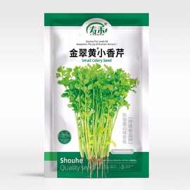 黄心小香芹芹菜种子家庭菜园蔬菜秧苗口感嫩早熟高产四季播种籽孑