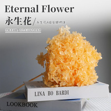 永生花diy批发花盒装饰材料国产安娜绣球花香印