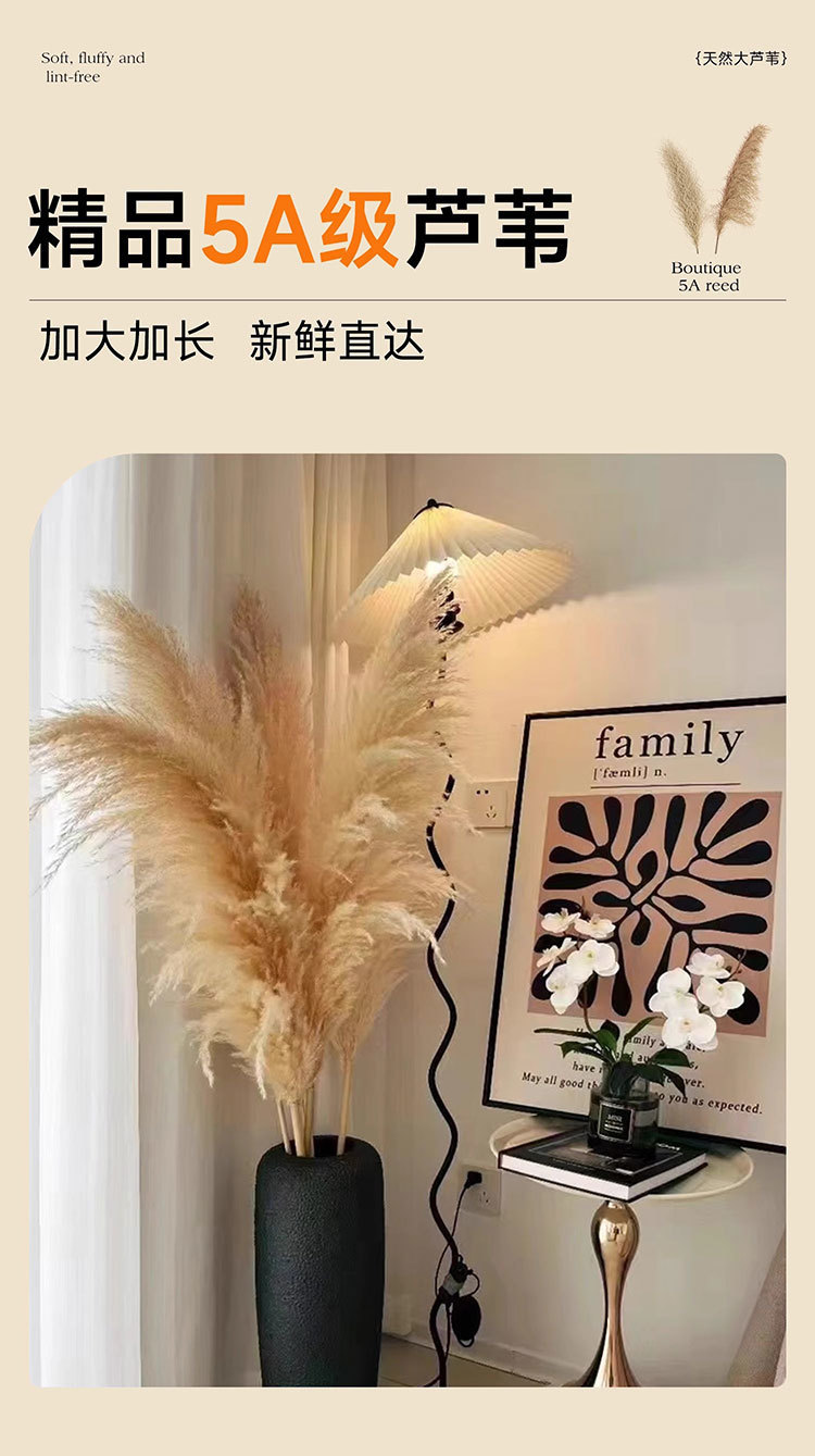 9c16026b-86c5-4aa8-9e84-eafcae5adf5f.jpe