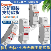 ����  �۶������� USM1I USM2I USM3I ����ɭMersen���� 10x38