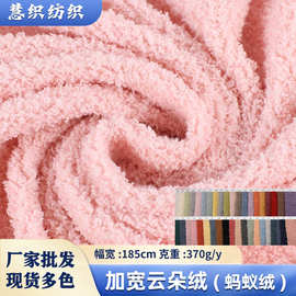 厂家直供云朵绒蚂蚁绒全涤毛绒布服装公仔床上用品面料植绒布玩具