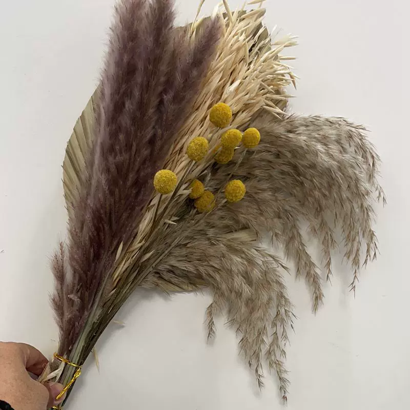 小芦苇干花套装室内观赏摆件兔尾巴燕麦铁树叶葫芦黄金球狗尾巴草