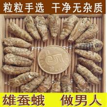 滋补雄蚕蛾男用晚蛾子未交配雄蚕蛾可泡酒原蚕蛾 250克真货好货好
