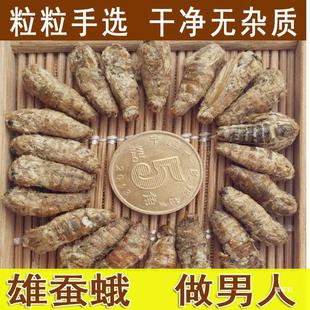 ���a���Q������������δ�������Q����ݾ�ԭ�Q�� 250����؛��؛��