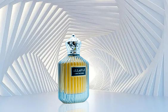 Neues Parfüm Grenzüberschreitender Außenhandel Beliebtes Parfüm für arabische Männer und Frauen im Nahen Osten Frisches und anhaltendes Parfüm 100ml_voghion.com
