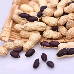 Шандун теперь выбирает новые товары орехи с орехами черная арахис черная фиолетовая фиолетовая фиолетовая кожа арахис 500 грамм