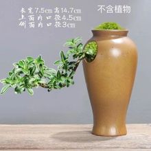 �羳�մɻ��軨ƿ��ׯˇ�g�lؔ����~С��ƿ�߼���ins�L���ֵ