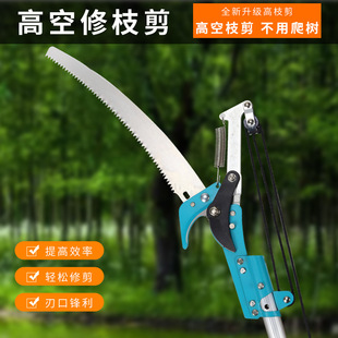 �@�ָ�֦��֦������G��������䏘�֦�����@���ޘ�䏼��L��s�U��