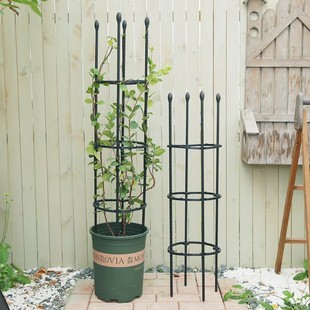 Plant Climbing Support Ring Flower Stand Potted Climbing Vine Stand for Pothos, Epiphyllum, Rose, Clematis, Rose, Tomato Stand