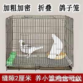 批发加密新款野鸽子笼家用折叠鹌鹑精品养殖小型小鸡雏鸡斑鸠养殖