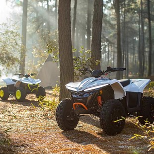 Arctic Spring Breeze Ev110 Youth Orce All-Terrain Vehicle Cfmoto Electric Vehicle Four-Wheel Motorcycle