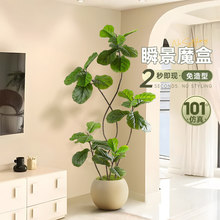 �������~�Ŵ����҃ȿ͏d�ҕ����ؔ[���b����Gֲ�쾰���Լ٘�