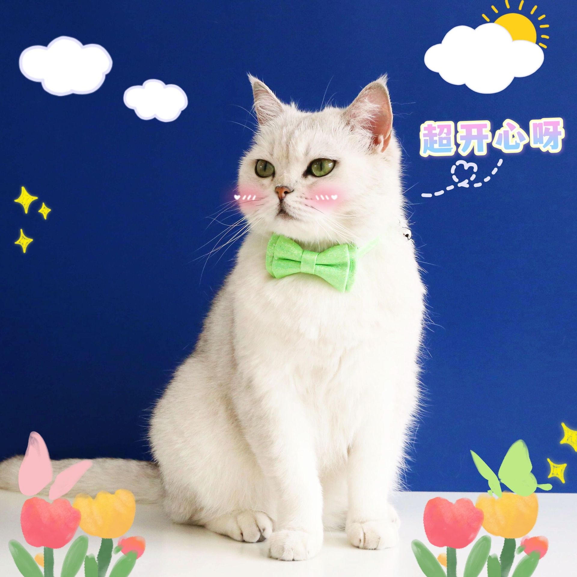 Pet Gato desmontable color caramelo sequinilla arco anti-asfixia perro conejo collar corbata collar