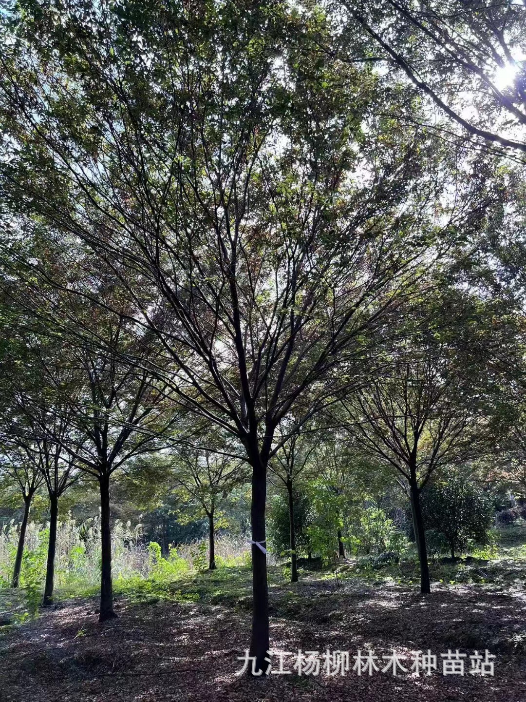 微信图片_20231009155736