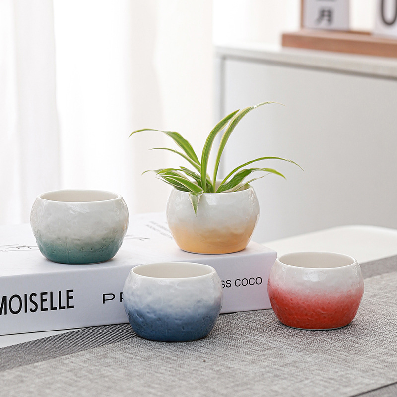 Mini Gradient Ceramic Small Flower Dinner Plate Decorative Dry Ice Container Hydroponic Green Plant Container Fleshy Small Flower Pot