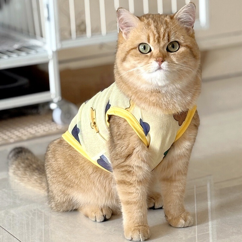 Summer Pet Vest for Dogs and Cats, Suitable for Ragdoll, Blue Cat, Teddy, Corgi, and Small Dogs, Breathable Mesh Fabric to Prevent Shedding