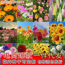 һlN̫ꖻ޹²ݰղݲ˹ՠţ۹