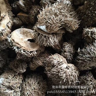 �L������ș����ë������������Ƥ��ë��һ���b��؛�L������������