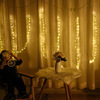 Amazon Explosive money Hearts Gypsophila Lamp string Curtain lights bedroom Wedding celebration Christmas festival decorate Lamp string