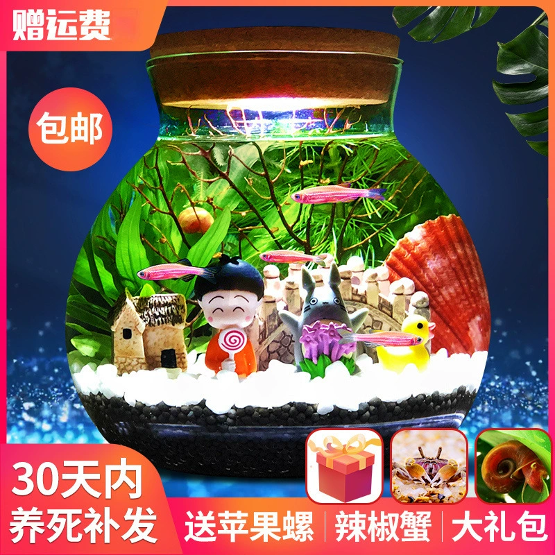 Экологическая бутылка, микроландшафт, аквариум, ландшафтный дизайн, резервуар для бетты, креативный резервуар, офисный стол, стол для гостиной, декоративный стеклянный резервуар