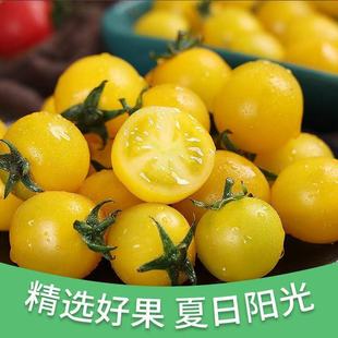 �S���}Ů������ꖹ��ԑ�С�����Sɫ�}�Sɫ�S����С���љ���С����